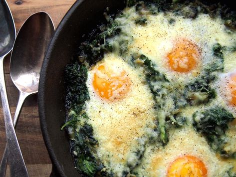 Poached Eggs in Spinach Recipe and Nutrition - Eat This Much Egg And Spinach, Petite Kitchen, Menu Sarapan Sehat, Garlic Spinach, Spinach Recipe, Poached Egg, Fried Eggs, Egg Breakfast, Breakfast Brunch Recipes