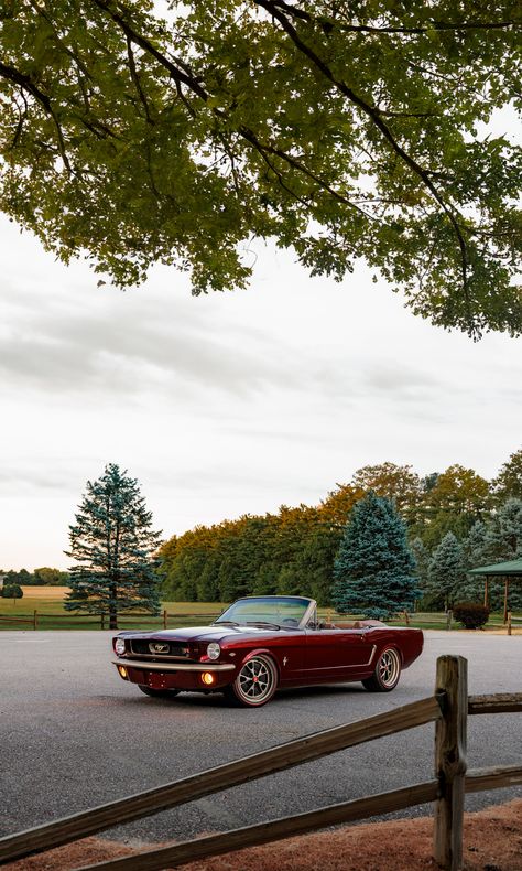 Vintage Cars Photography, Classic Cars Aesthetic, Old Ford Cars, Old School Mustang, 1980 Mustang, Old Mustang, 1965 Mustang Convertible, 1965 Ford Mustang Convertible, 1970 Mustang