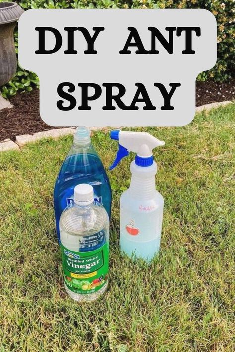 #gardeninghacks #gardentips #gardening Ant Killer Natural, Diy Ant Killer, Ant Killer Spray, Home Remedies For Ants, Ant Remedies, Ants In Garden, Ant Killer Recipe, Homemade Ant Killer, Repellent Diy