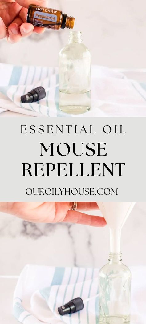 Essential Oils For Mice Repellent, Mouse Deterant, Home Remedies For Mice, Natural Rat Repellent, Diy Mice Repellent, Peppermint Oil For Mice, Mouse Deterrent, How To Deter Mice, Repellent Diy