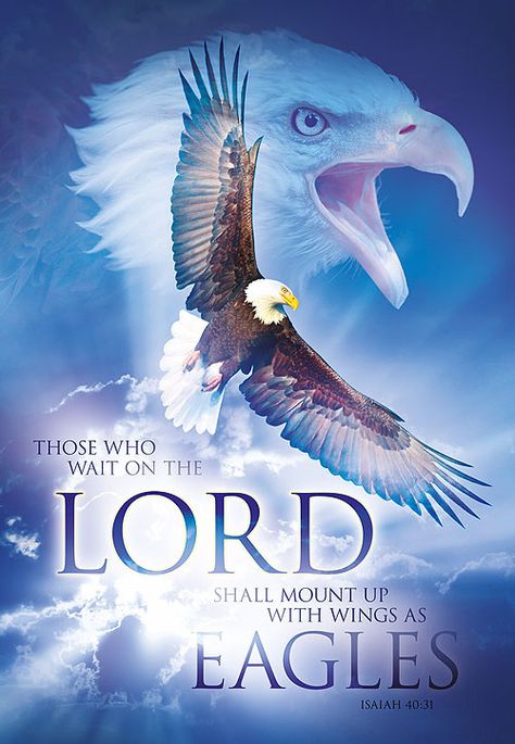 Christian Posters on Behance Wait On The Lord, Aigle Royal, Woord Van God, Wait Upon The Lord, Eagle Flying, Eagles Wings, Isaiah 40 31, Prophetic Art, Christian Posters