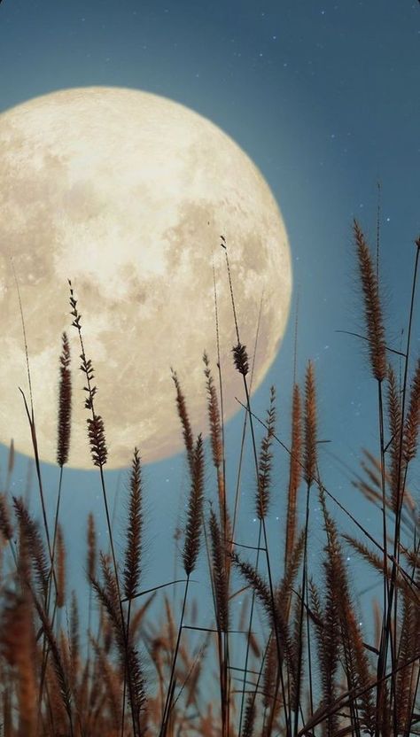 Full Moon Photography, Moonlight Photography, Artsy Background, Moonlight Painting, Phone Wallpaper Boho, Space Phone Wallpaper, Mystic Moon, Iphone Wallpaper Sky, Moon Photos