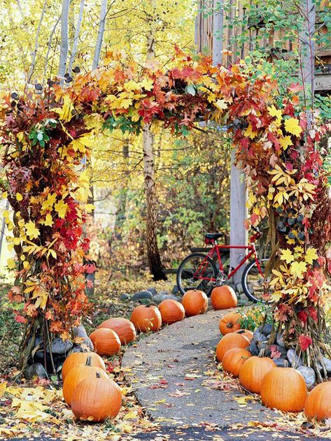 Pumpkins on Parade - Add some pizzazz to your front yard by lining a walkway with pumpkins. Around Halloween, replace some of the whole pumpkins with carved jack-o'-lanterns. Halloween Engagement, Wedding Aisles, Dekorasi Halloween, Fall Outdoor Decor, Wedding Inspiration Fall, Fabulous Fall, Mod Wedding, Fall Outdoor, October Wedding