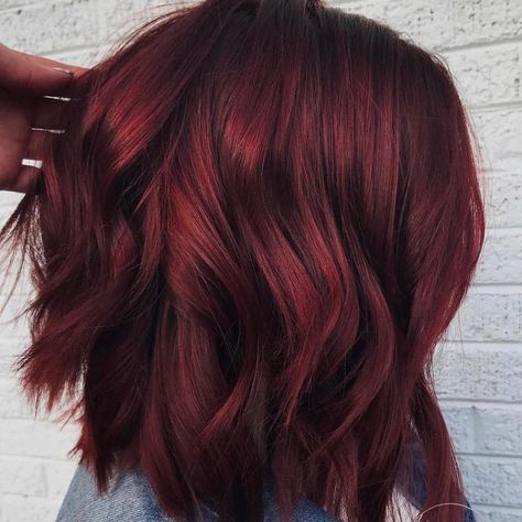 Photos Of Mulled Wine Hair Color Prove It's The '90s Meets Holiday Perfection Wine Hair Color, Winter Hair Trends, Wine Hair, Redken Hair Products, Hair Gloss, Redken Shades, Hair Color Burgundy, Redken Shades Eq, Burgundy Hair