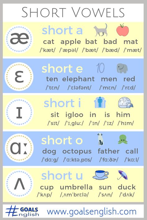 How to Pronounce All of the Sounds of American English — #GOALS English English Phonetic Alphabet, Phonetic Chart, English Vowels, Phonetics English, English Phonetics, Pronunciation English, English Sounds, Chart Infographic, Phonics Rules