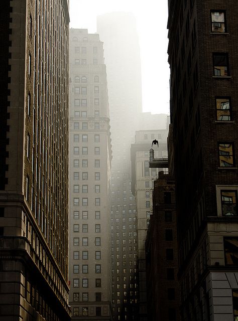 flight by Several seconds, via Flickr San Myshuno, Tall Buildings, Empire State Of Mind, Nyc Life, New York Life, City Vibe, City That Never Sleeps, The Fog, Dream City