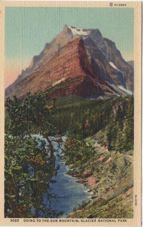 National Geographic Photography, Nature Film, Nature Posters, National Park Posters, Vintage Poster Art, Glacier National, Old Postcards, Glacier National Park, New Wall