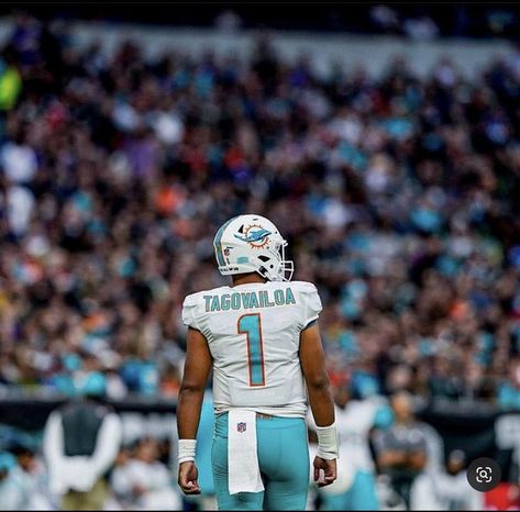 Tua Tagovailoa Dolphins, Tua Tagovailoa Miami Dolphins Wallpaper, Miami Dolphins Aesthetic, Tua Tagovailoa Wallpaper, Dolphins Wallpaper, Miami Dolphins Wallpaper, Cool Football Pictures, Jaylen Waddle, Hard Rock Stadium