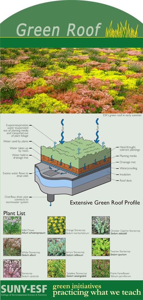 Green roof #technics and plants | #Dachbegrünung Technik und Pflanzen: Architecture Roof, Extensive Green Roof, Casa Hobbit, Earth Sheltered, Green Ideas, Living Roofs, Planting Plan, Earth Homes, Green Architecture