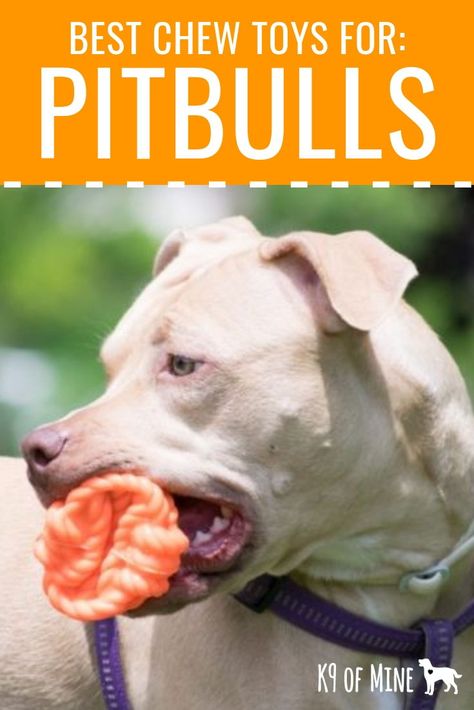 Best Chew Toys For Pit Bulls - Need a toy that can withstand your pittie's power? These chews are extra-tough for your bully! #pitties #pitbulls #extratough #chewproof #indestructabledogtoys #dogchews #dogtoys #chewtoys #dogs Diy Dog Toys For Heavy Chewers, Pit Bull Care, Smart Dog Toys, Outdoor Dog Toys, Kong Dog Toys, Dogs Toys, Pie Iron, Pets Toys, Dog Toys Indestructable