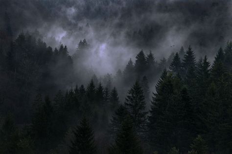 Dark Desktop Backgrounds, Werewolf Aesthetic, Snow Night, Desktop Wallpaper Art, Dark Nature Aesthetic, Foggy Forest, Mac Wallpaper, Black And White Artwork, Gray Aesthetic