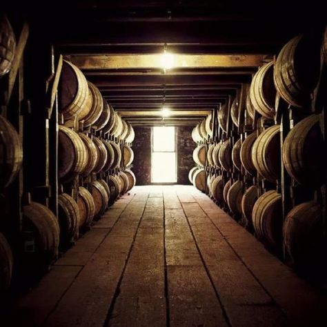 Bourbon barrels Whiskey Distillery, Rye Bourbon, Wine Barrels, Cigars And Whiskey, Whiskey Barrel, Bourbon Whiskey, Wine Cellar, Nantucket, Battlefield