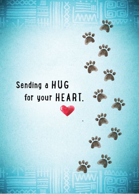 Cat In Heaven Quotes, Pet Condolences Cat, Loss Of Dog Sympathy, Dog Condolences Loss Of Pet, Loss Of Pet Dog Sympathy Cards, Pet Loss Sympathy Messages, Loss Of A Dog Sympathy, Sorry For Your Loss Dog, Cat Sympathy Cards