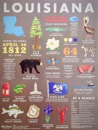 Louisiana History Louisiana Culture, Louisiana History, Louisiana Cajun, Louisiana Homes, Louisiana Art, State Symbols, South Louisiana, Red Arrow, Louisiana State