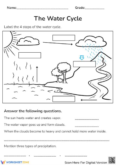 There are four steps in the water cycle. Explore it with this engaging worksheet right now! #watercycle #science #diagrams #water #environment #stages #livingthings #pdfs #worksheets #printables #answerthequestions #labelling #process #steps Water Cycle Diagram Science, The Water Cycle Worksheet, Water Cycle Printable, Homeschooling 2nd Grade, Water Cycle Project, Water Cycle Diagram, Water Cycle Worksheet, Water Lessons, Science Diagrams