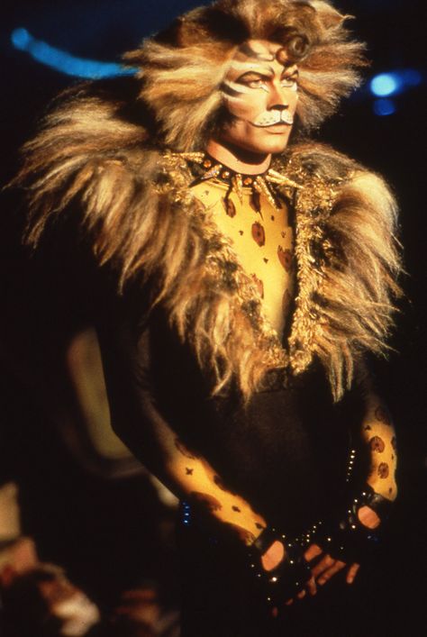 Rum Tum Tugger, Musical Makeup, Musical Pictures, Cats Makeup, Cats Costume, Cats The Musical, John Partridge, Jellicle Cats, Animal Makeup