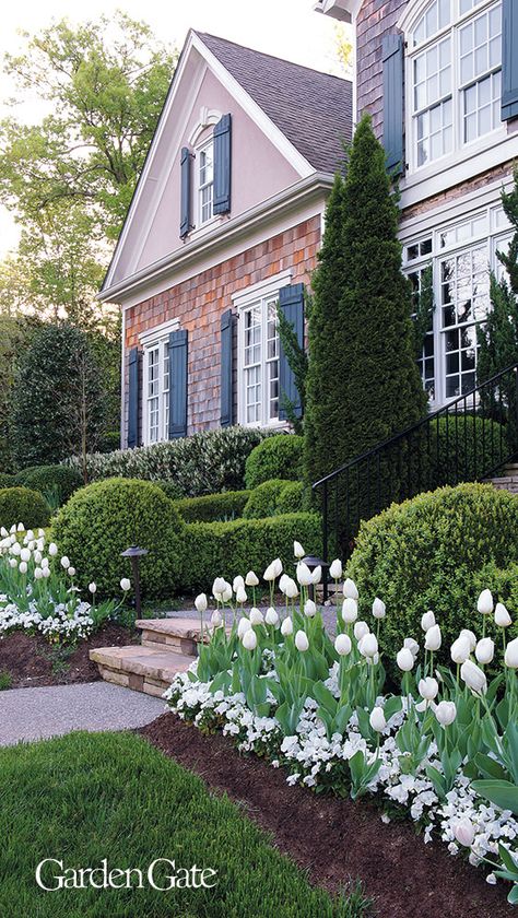 Get this look with our Garden Design Tips! #Tulips #SpringGarden #GardenBedIdeas #WhiteGarden #GardenGateMagazine Mass Planting Ideas, Mass Planting, Garden Decoration Ideas, Backyard Designs, Planting Ideas, Front Yard Garden Design, Tulips Garden, Front Landscaping, Garden Shrubs