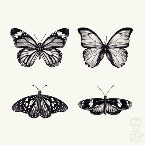 tattoos by hazel on Instagram: “Shaded butterflies, 1/3. #tattooflash #flashtattoo #butterflytattoo #tattoodesign” Butterfly Tattoo With Shading, Ariana Grande Butterfly Tattoo, Small Black Butterfly Tattoo, Ariana Grande Butterfly, Shaded Butterfly Tattoo, Butterflies Tattoo Designs, Tiger Butterfly Tattoo, Butterfly Tats, Butterfly Thigh Tattoo