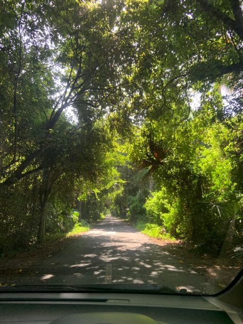 Baluran National Park, Park Entrance, National Park, Entrance, National Parks, Country Roads, Road