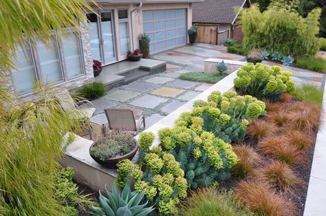 'Falling Cliff' residence in Shell Beach, California designed by JGS Landscape Architecture. Photo: Tom Hessel Garden Without Grass Ideas, Succulent Border, Garden Grasses, Small Yard Design, Front Yard Landscape, Backyard Ideas For Small Yards, Small Yard Landscaping, Succulent Landscape Design, No Grass Backyard