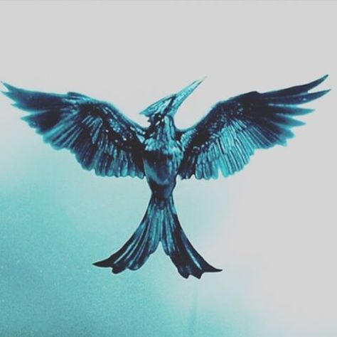 ❤️❤️❤️❤️ Mocking Jay Tattoos, Mocking Jay Bird, Panem Aesthetic, Mockingjay Tattoo, Mockingjay Bird, Hunger Games Exhibition, Games Tattoo, Hunger Games Fan Art, Mocking Jay