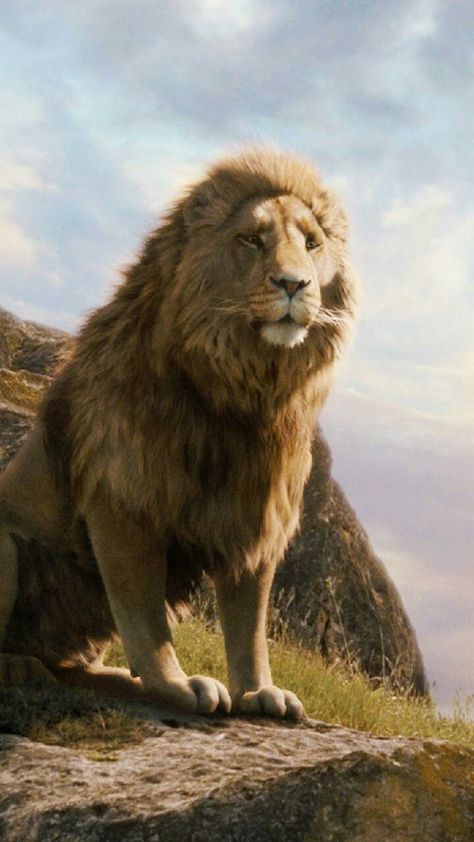 Aslan Lion Narnia, Narnia Phone Wallpaper, Aslan Narnia Aesthetic, Narnia Wallpaper Iphone, Narnia Aesthetic Wallpaper, Aslan Wallpapers, Chronicles Of Narnia Aslan, Narnia Wallpaper, Narnia Aslan