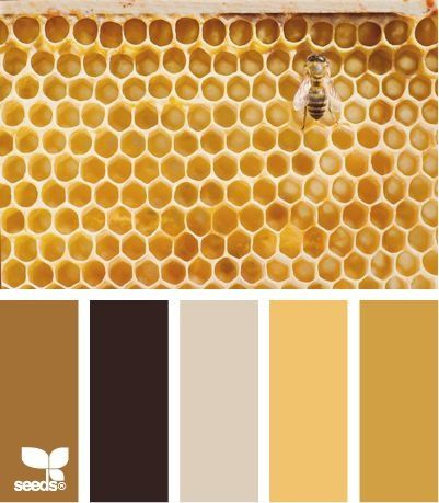 colors combos color palettes bathroom furniture design seeds colours ... Design Seeds, Color Palate, Honey Bees, Honey Colour, Colour Board, Colour Schemes, Color Swatches, Color Pallets, Color Theory