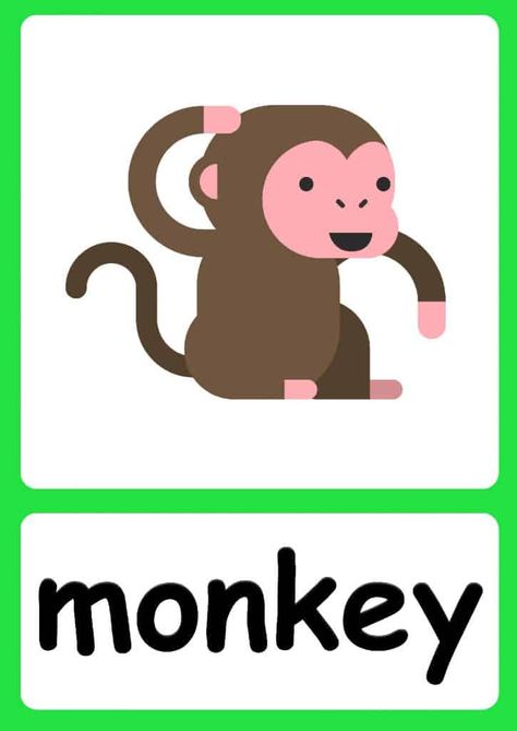 Jungle Animal flashcards + FREE Jungle background Aesthetic Cartoon Animals, Animals Wallpaper Cartoon, Cartoon Animals Drawing, Animals As People, Animals Flashcards For Kids, Jungle Background, Animals Preschool, Teach English To Kids, All About Me Preschool