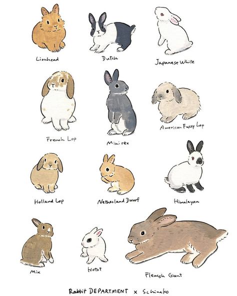 Aww ❤️ I have two bunnies, a French Lop and something else that I can’t identify Pusheen Wallpaper, Pet Rabbit Care, Istoria Modei, Lapin Art, Bunny Room, Pet Bunny Rabbits, Bunny Care, Cute Bunny Pictures, Bunny Drawing