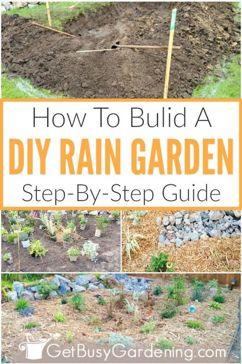 Diy Rain Garden, Rain Garden Diy, Rain Garden Landscape, Step Garden, Rain Garden Design, Backyard Drainage, Traditional Flower, Garden Steps, Dry Creek