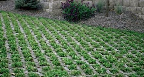 Greenery grows right through open concrete grid systems such as Turfstone. Strong enough to handle vehicles while offering excellent drainage and erosion protection, open concrete grid blocks are commonly filled with soil and then planted with grass or a durable ground cover. Turfstone pavers measure 24 by 15.75 inches and are available through Belgard. Grass Driveway, Permeable Driveway, Permeable Paving, Permeable Pavers, Patio Layout, Stone Steps, Driveway Design, Drainage Solutions, Paver Driveway