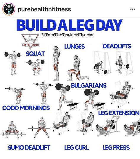 King Warrior, Leg Day Workout, Leg Workouts Gym, Workout Gym Routine, Best Leg Workout, Gym Workout Plan For Women, Workout At The Gym, Gym Workout Planner, Muscle Abdominal