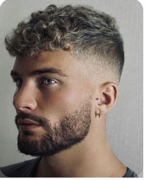 Men Haircut Styles Short Curly, Curly And Wavy Hairstyles Men, Mens Same Length Haircut, Short Men Curly Haircut, Wavy Perm Men Short Hair, Short Curly Haircuts Men Fade, Skin Fade Curly Hair Men, Mens Curly Fade, Men’s Perm Hairstyles