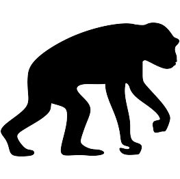 Animal Silhouettes | Page 5 Animal Silhouette Printable, Monkey Silhouette, Jungle Decorations, Silhouette Clip Art, Animal Silhouette, Silhouette Free, Art Download, Free Clip Art, Downloadable Art