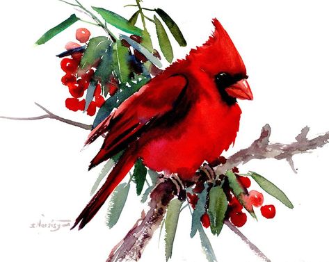 Watercolor Christmas Art, Cardinal Watercolor, Cardinal Painting, Bird Watercolor Paintings, Christmas Cardinals, Watercolor Paint Set, Bird Poster, Watercolor Christmas Cards, Cardinal Birds