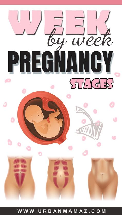 On a normal ground, a pregnancy takes about 40 weeks from the very first day that the last menstrual period took place to the day that the baby is born. The last menstrual period, also called LMP, is about two weeks preceding the period when the conception really took place. Follow your pregnancy with our Pregnancy week by week guide! Stages Of Pregnancy Weekly, Pregnancy Day By Day, Ovulation Symptoms, Pregnancy Side Effects, Early Pregnancy Test, Week By Week Pregnancy, Estrogen Hormone, Low Estrogen Symptoms, Pregnancy Week