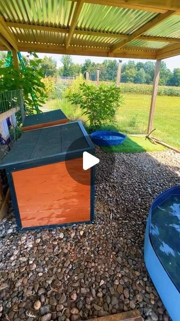 Keeping Ducks Cool In Summer, Large Duck Coop, How To Make A Duck House, Duck Coop Ideas Diy Cheap, Duck And Chicken Coop Together Ideas, Duck Area In Backyard, Pet Duck Enclosure, Duck Coop Accessories, Duck Coop Flooring Ideas