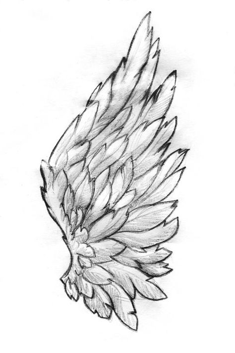 Wings Sketch, Angel Wings Drawing, Kunst Tattoos, Poses Anime, Wings Drawing, Angel Wings Tattoo, Angel Drawing, 얼굴 그리기, Wings Art