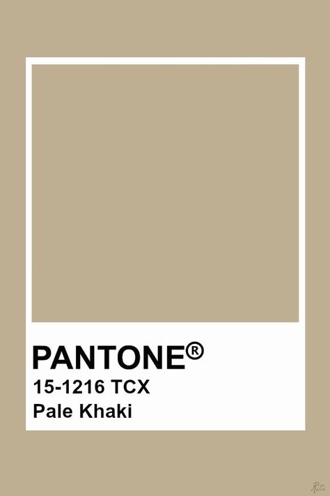 Khaki Pantone Colour Palettes, Pale Khaki Pantone, Khaki Pantone, Khaki Colour Palette, Khaki Aesthetic, Khaki Paint, Aesthetic Pantone, Khaki Color Palette, Beige Pantone