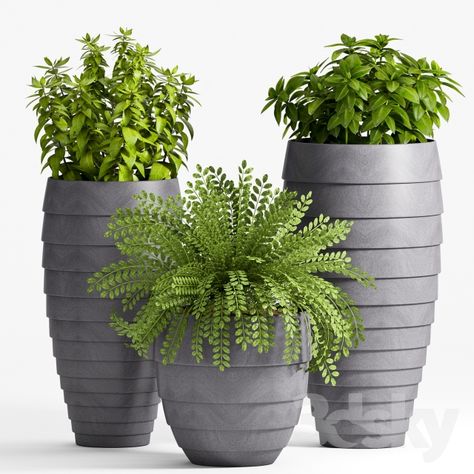 Inside Plants Decor, Interior Design Plants, Outdoor Herb Garden, Plant Pot Design, Garden Decor Projects, Inside Plants, Plant Decor Indoor, House Plants Decor, Decorative Planters