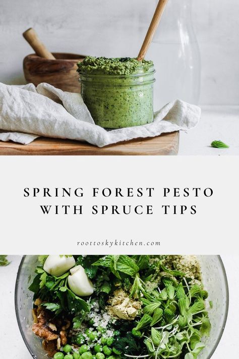 Spruce Tips Recipes, Simple Pesto Recipe, Foraged Recipes, Nettle Recipes, Spruce Tips, Wild Foraging, Wild Food Foraging, Foraging Recipes, Foraged Food