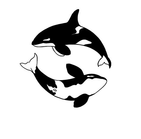 Orca Yin Yang Tattoo, American Traditional Orca Tattoo, Orca Yin Yang, Octopus Simple Drawing, Orca Outline Tattoo, Orca Whales Tattoo, Orca Whale Tattoo Design, Orca Whales Drawing, Ocean Wrist Tattoo