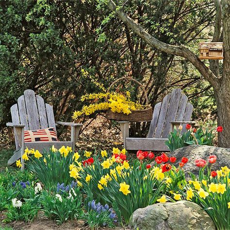 Pools of yellow 'King Alfred' daffodils, 'Red Apeldoorn' tulips, grape hyacinths and white hyacinths ramble among boulders in this woodland garden  Plant large bulbs in groups of 5 to 15 bulbs of each type. Small bulbs  are most effective in groupings of 15 to 25. Spring Bulb Garden, Bulbs Garden Design, Wellness Sanctuary, Spring Bulbs Garden, Bulb Garden, Small Flower Gardens, Hippie Garden, Ancient Healing, Medicinal Garden