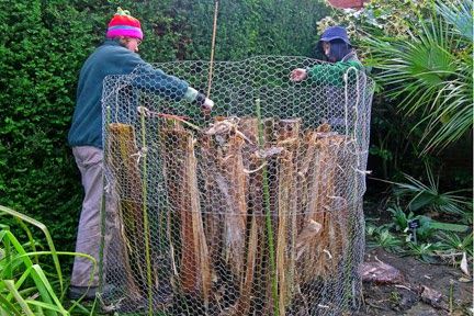 The Garden of Eaden: HOW TO OVERWINTER BANANA PLANTS Overwintering, Banana Plants, Horticulture, Outdoor Structures, Green, Plants