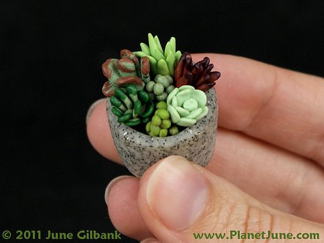 polymer clay succulent garden  I made this teeny weeny succulent garden to go inside the miniature macrame plant hanger I made from the book Microcrafts. See my book review on my blog :)  It's less than 1" diameter, and all colour-mixed polymer clay - no paint! Tanah Liat, Succulent Gardening, Terraria, Cactus Y Suculentas, Cactus Garden, Cactus And Succulents, Miniature Garden, Mini Garden, Succulents Garden