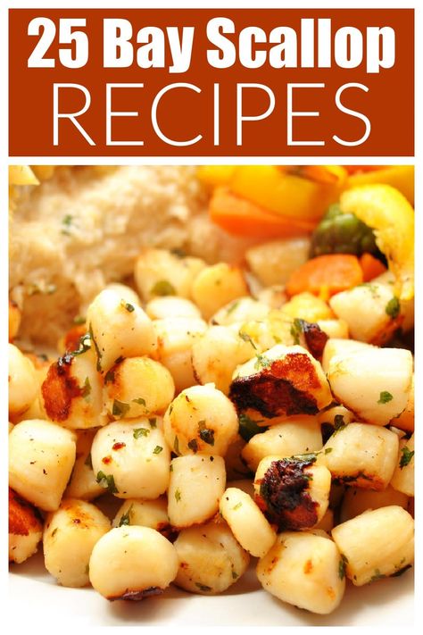 Recipes For Bay Scallops, Recipes With Bay Scallops, Bay Scallops Dinner Ideas, Bay Scallops And Pasta, Small Scallops Recipe, Bay Scallop Recipes Easy, Scallop Meals, Bay Scallop Pasta, Scallops Dinner Ideas