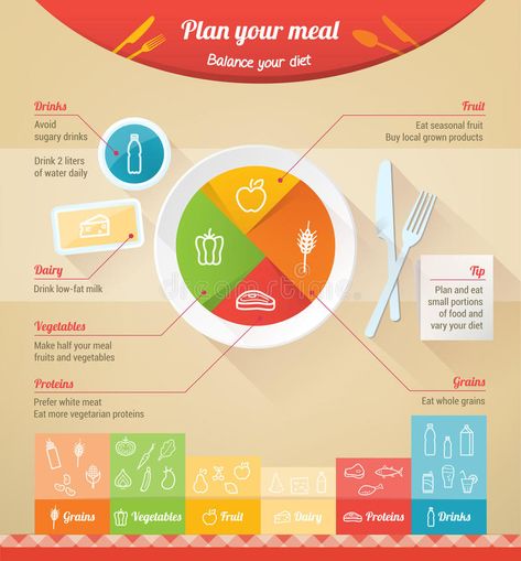 Plan your meal. Infographic with dish, chart and icons, healthy food and dieting , #SPONSORED, #dish, #chart, #Infographic, #Plan, #meal #ad Nutrition Infographic, Vegetable Diet, Fat Burning Diet, Eat Seasonal, Diet Drinks, Sugary Drinks, Vegetable Protein, Protein Diets, Diet Vegetarian