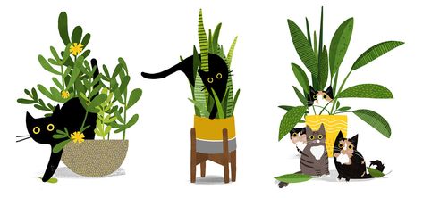 Cats Plants, I Love Plants, Plant Eater, Sticker Design Inspiration, Fruit Wall Art, Cat Plants, Love Plants, I Love Cats, Black Cat Art