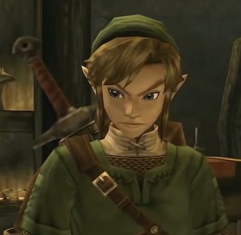 Link Twilight Princess Official Art, Old Link Zelda, Tp Link Icon, Pfp Pixel, Link Pfp, Twilight Link, Twilight Princess Link, Zelda Screenshots, Link Twilight Princess