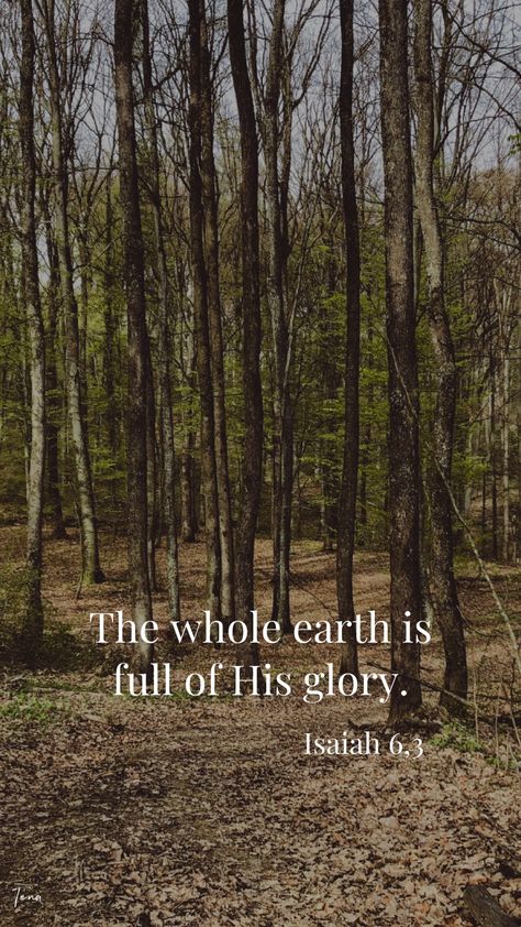 Bible Verse About Beautiful Creation, Bible Verse About Beauty Of Nature, Bible Verses About The Beautiful Earth, Bible Nature Quotes, Quotes About Gods Creation Nature, Give God The Glory Quotes, Scripture About Natures Beauty, Bible Verse About Nature Beauty, God In Nature Quotes